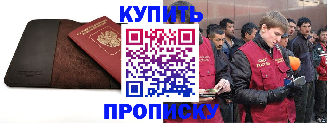 временная прописка в Звенигово